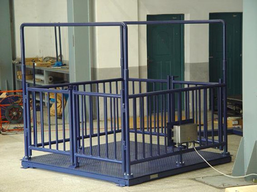 畜牧秤_畜牧秤價格_供應(yīng)稱豬稱牛等動物專用畜牧秤(圖2) 畜牧秤